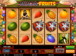 Ninja Fruits slotmaskinen SS-11
