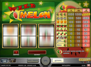 Wild Melon slotmaskinen SS-01