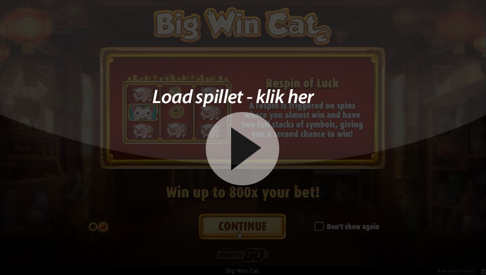 Big-Win-Cat_Box-game-bingobonussen.dk