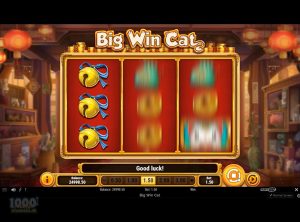 Big-Win-Cat_slotmaskinen-03