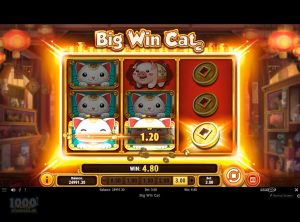 Big-Win-Cat_slotmaskinen-08