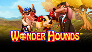 Wonder-Hounds_Banner-bingobonussen.dk